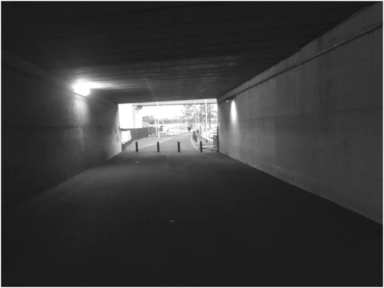 the space inside the shared use tunnel